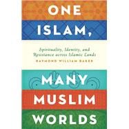 One Islam, Many Muslim Worlds Spirituality, Identity, and Resistance across Islamic Lands