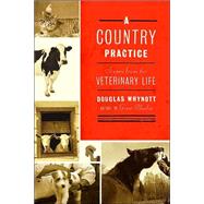 A Country Practice Scenes from the Veterinary Life