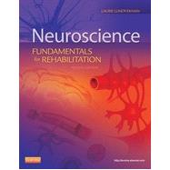 Neuroscience, 4th Edition