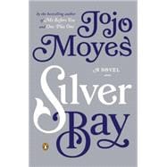 Silver Bay A Novel