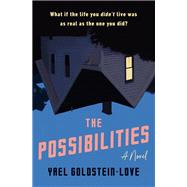 The Possibilities A Novel