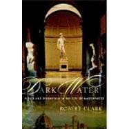 Dark Water : Flood and Redemption in the City of Masterpieces