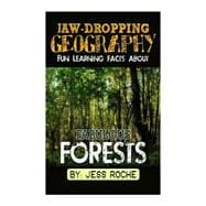 Fun Learning Facts About Fabulous Forests