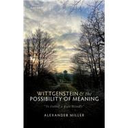 Wittgenstein and the Possibility of Meaning 