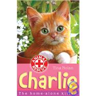 Charlie Home Alone Kitten