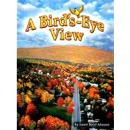 A Bird's-Eye View