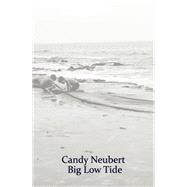 Big Low Tide