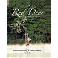 Red Deer, Stag Hunting Argentina