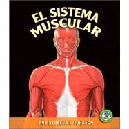 El Sistema Muscular/ The Muscular System
