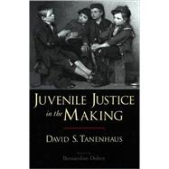 Juvenile Justice in the Making