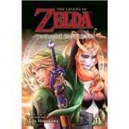 The Legend of Zelda: Twilight Princess, Vol. 11