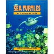 Sea Turtles