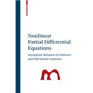 Nonlinear Partial Differential Equations