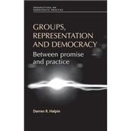 Groups, Representation and Democracy Between Promise and Practice