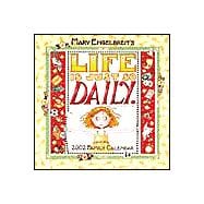 Mary Engelbreit's Life Is Just So Daily 2002 Family Calendar