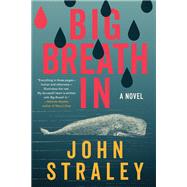 Big Breath In book cover, ISBN 9781641296540