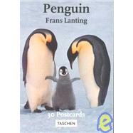 Lanting Penguins : Postcards
