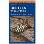 Field Guide to Beetles of California,9780520246553