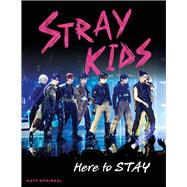 Stray Kids Here to STAY
