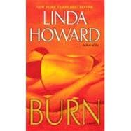 Burn A Novel