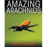 Amazing Arachnids