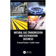 Natural Gas Transmission and Distribution Business