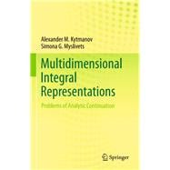 Multidimensional Integral Representations