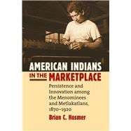 American Indians in the Marketplace