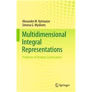 Multidimensional Integral Representations