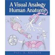 A Visual Analogy Guide to Human Anatomy