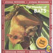 The Wonder of Bats