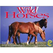 Wild Horses 2003 Calendar