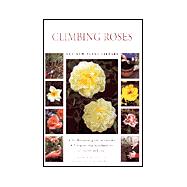 Climbing Roses
