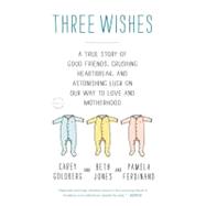 Three Wishes : A True Story of Good Friends, Crushing Heartbreak, and Astonishing Luck on Our Way to Love and Motherhood