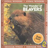 The Wonder of Beavers