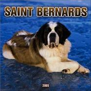 Saint Bernards 2005 Calendar