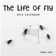 Life of Fly 2016 Mini Wall Calendar