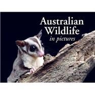 Australian Wildlife in Picture  Celebrating the unique nature of the island continent, from kangaroos to sea dragons