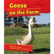 Geese on the Farm