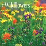 Wildflowers 2016 Calendar