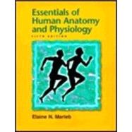 Essentials of Human Anatomy And Physiology