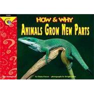 How and Why Animals Grow New Parts