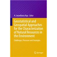 Geostatistical and Geospatial Approaches for the Characterization of Natural Resources in the Environment