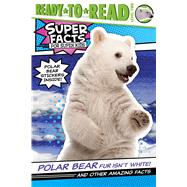 Polar Bear Fur Isn't White!