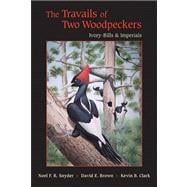 The Travails of Two Woodpeckers