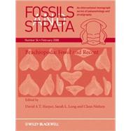Brachiopoda Fossil and Recent