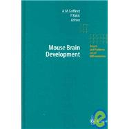 Mouse Brain Development