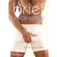 Brief Encounters 69 Hot Gay Shorts