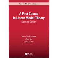 A First Course in Linear Model Theory