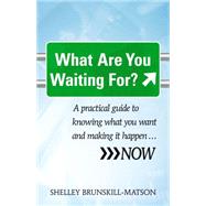What Are You Waiting For? A practical guide to knowing what you want and making it happen...NOW